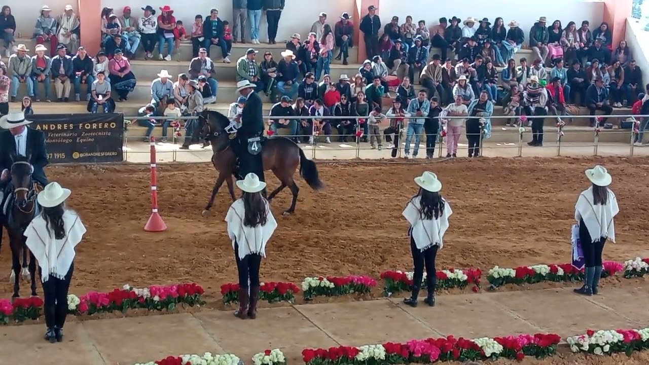 Expoferia Toca Boyacá, chalán Leandro Duvan C, R,,,🐎#2 trocha pura,,
