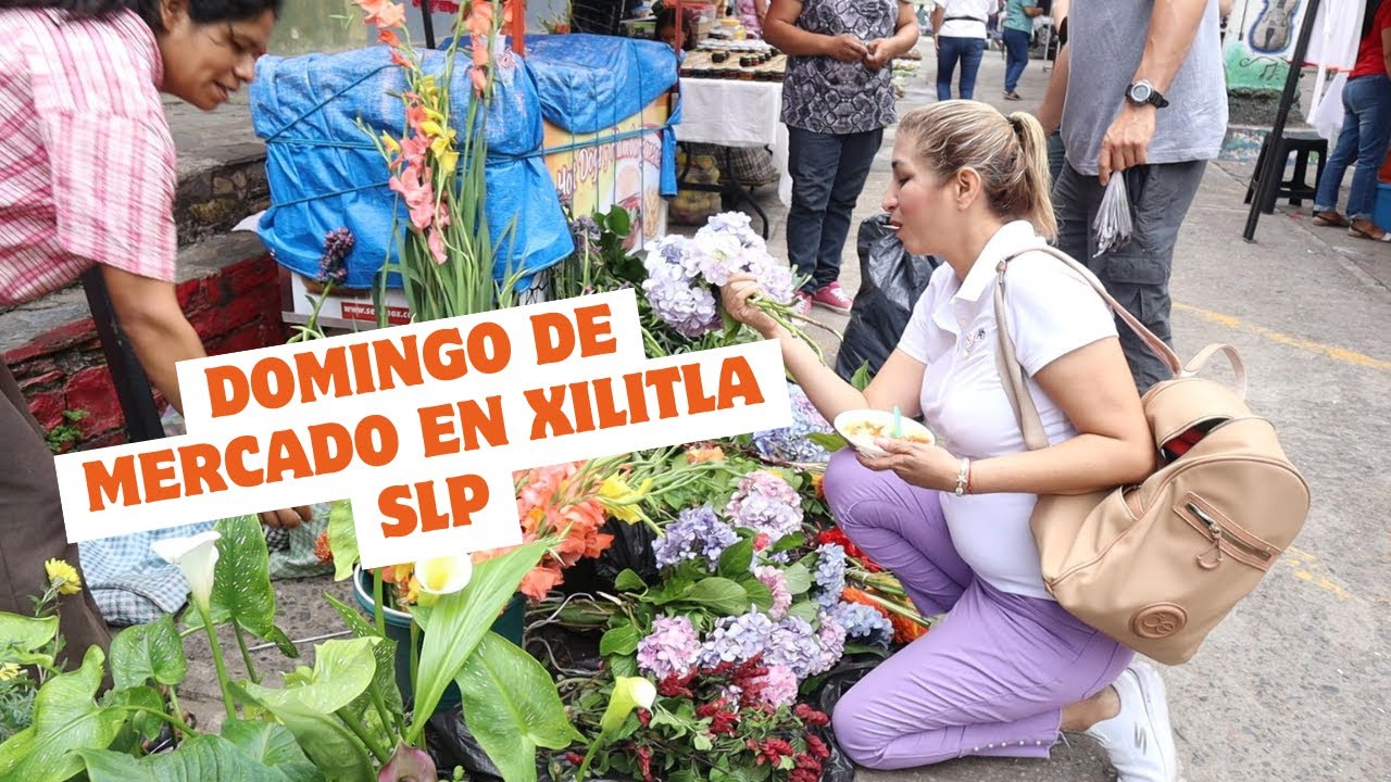 DOMINGO DE MERCADO EN XILITLA SLP