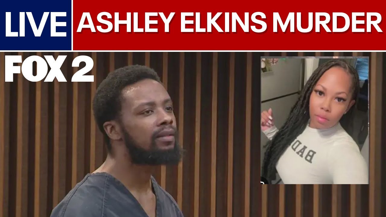 Ashley Elkins murder: Suspect in missing Warren mother's death returns to court