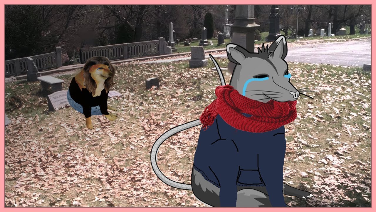 El amor que no se dio