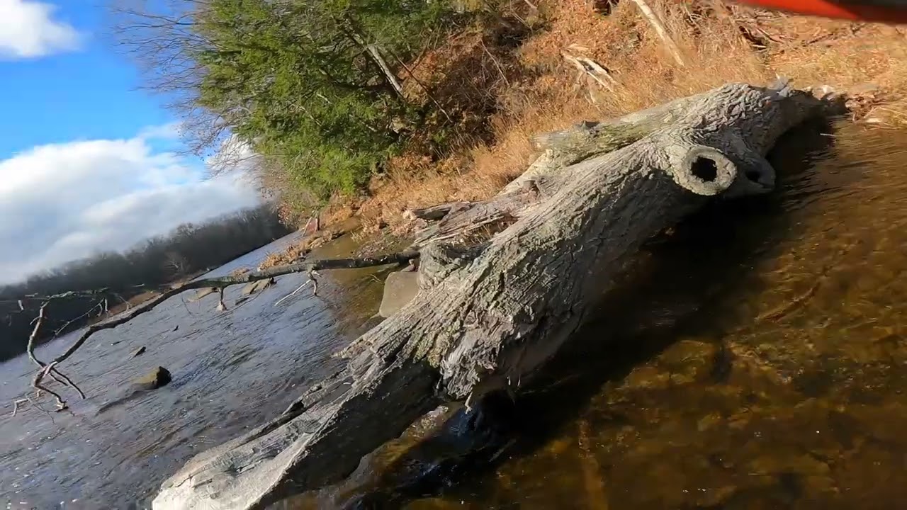 Salmon River Trip Day #1