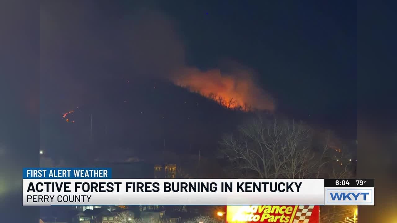 В штате Кентукки бушуют многочисленные лесные пожары на фоне сохраняющейся засухи.