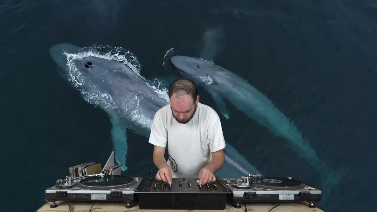 Vinyls DJ Set - Acid Mental Tekno - Mononom / Curley / SP23