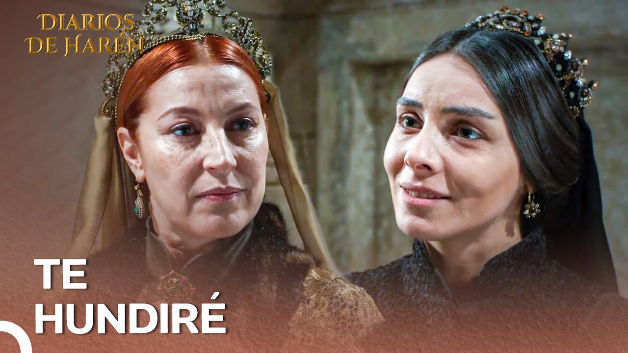 ¡Me Pedirás Perdón Por Todo Esto! | Diarios De Harén