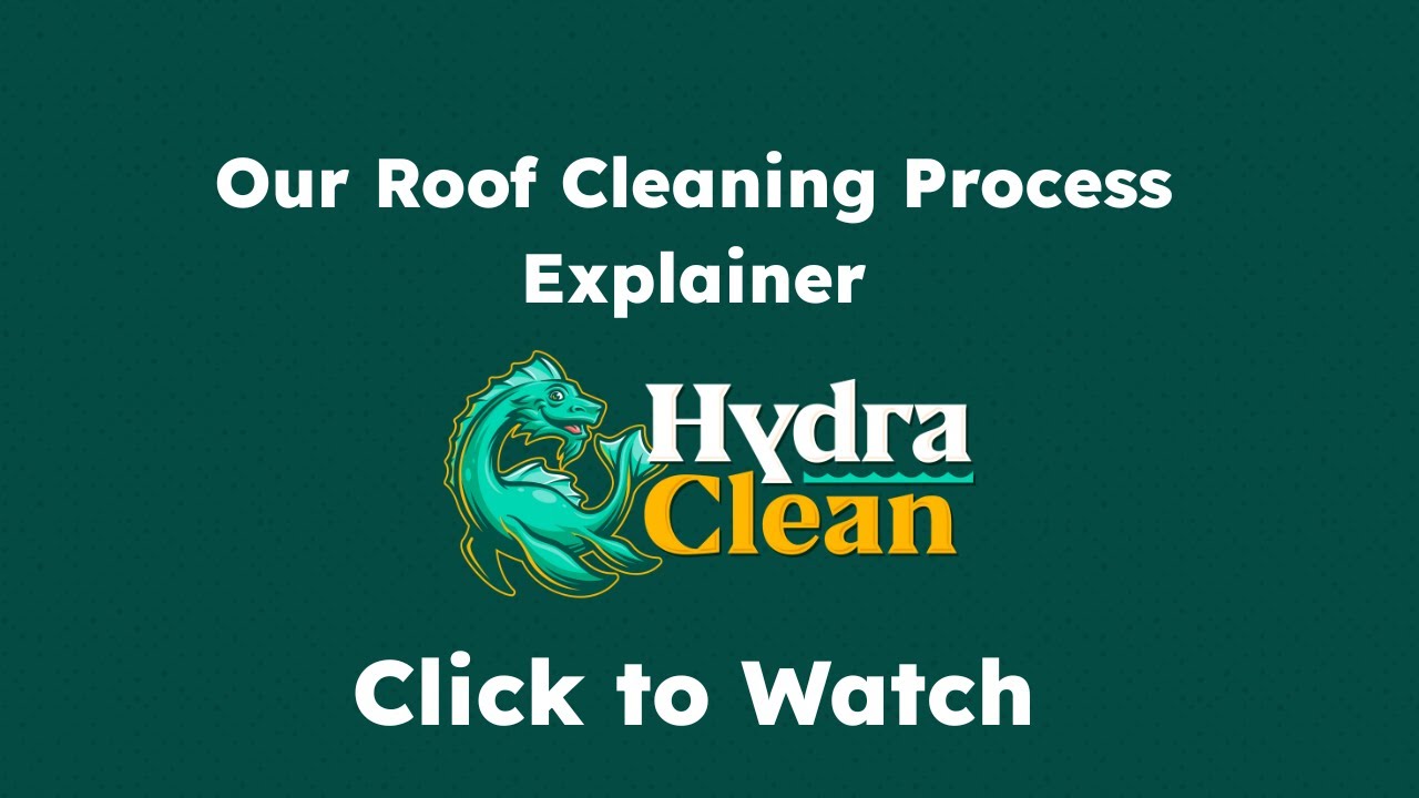 Roof Cleaning Bellevue, WA