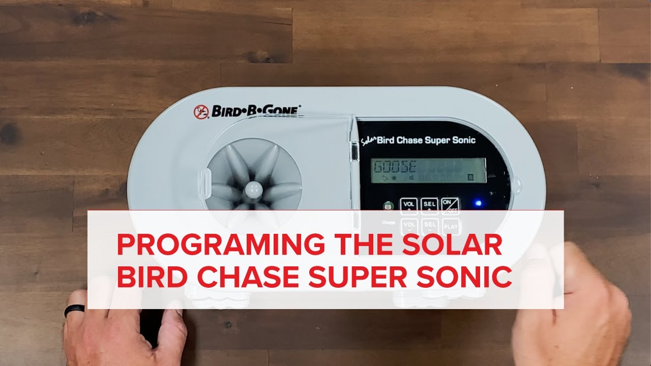 How to Program the Solar Bird Chase Super Sonic™ - UR58 (Sound Bird Deterrent) Bird B Gone Products