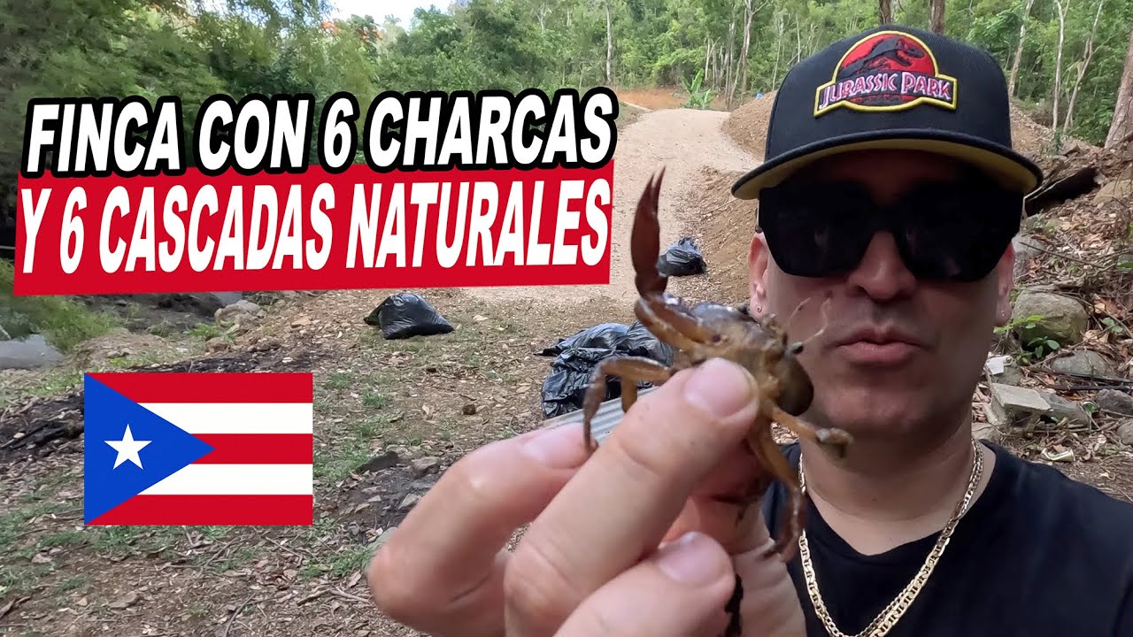 Visitamos La Finca De Elias White Lion con Jamsha y Ruben Dj