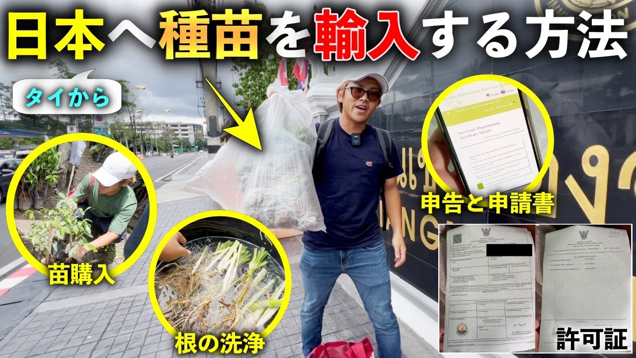 【大変でした！】タイから日本へ植物を輸入する方法！大変なところや注意点！
