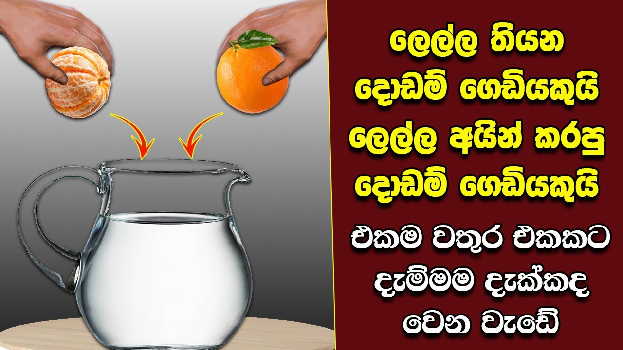 ඔබ මේවා දකින්නේ ජිවිතේ පළමු වතාවට EP:428