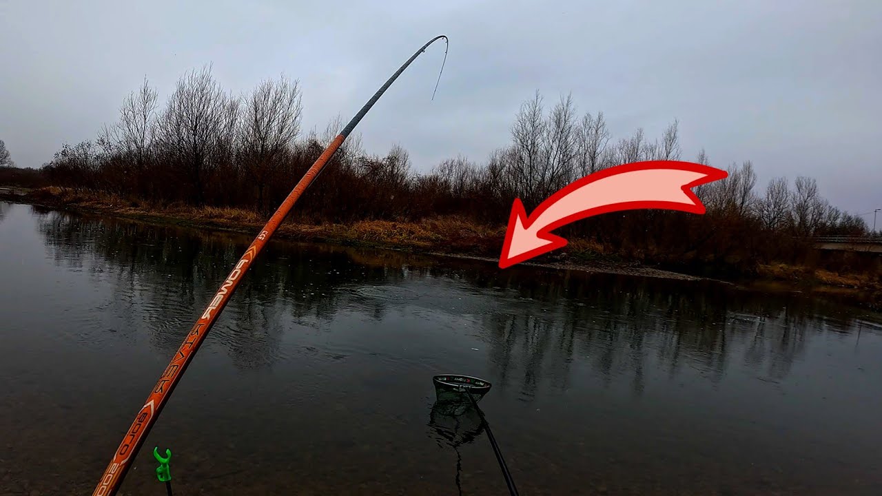 РИБОЛОВ на ПЛУВКА с ТРОХА - РАЗНООБРАЗЕН УЛОВ на РЕКА РОСИЦА!