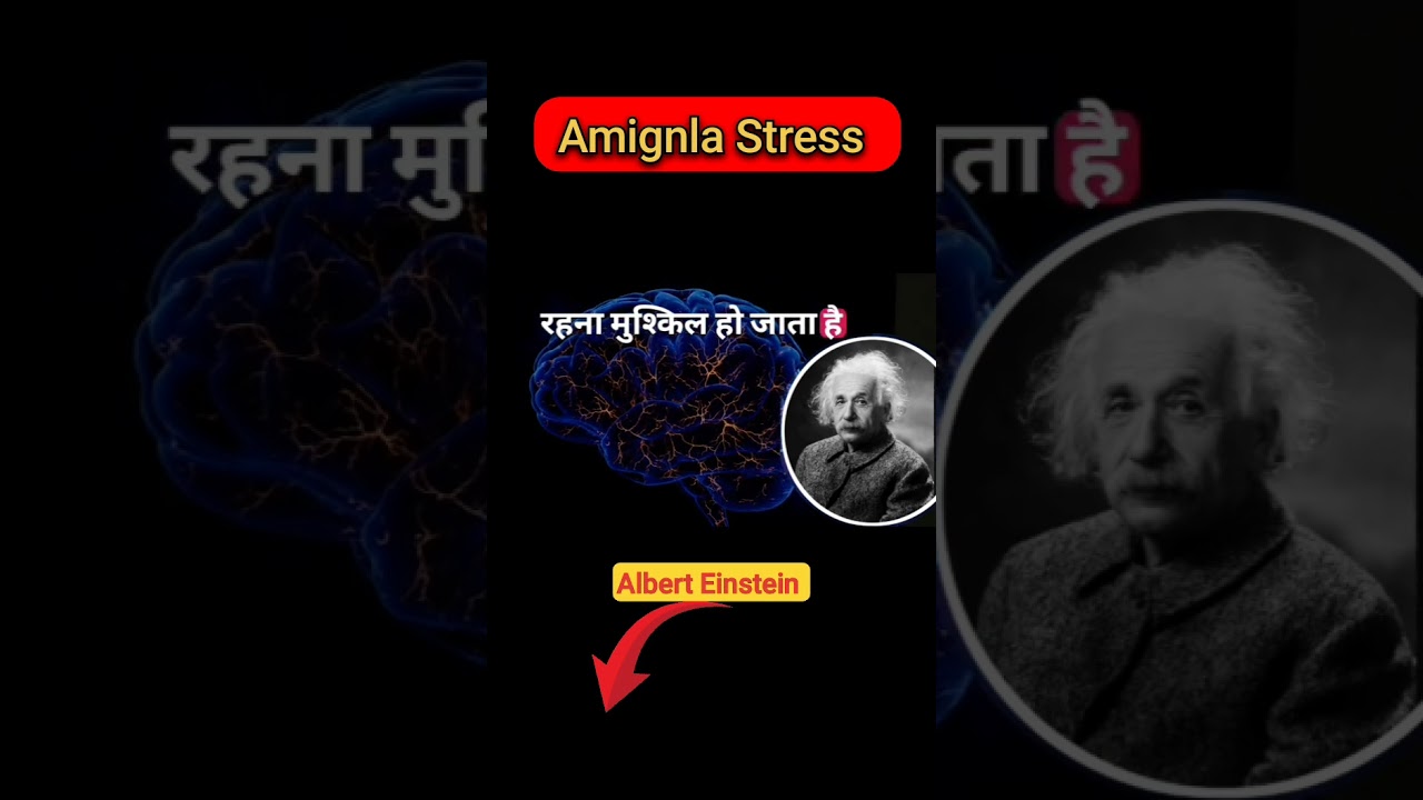 Amingla Stress Part 2 