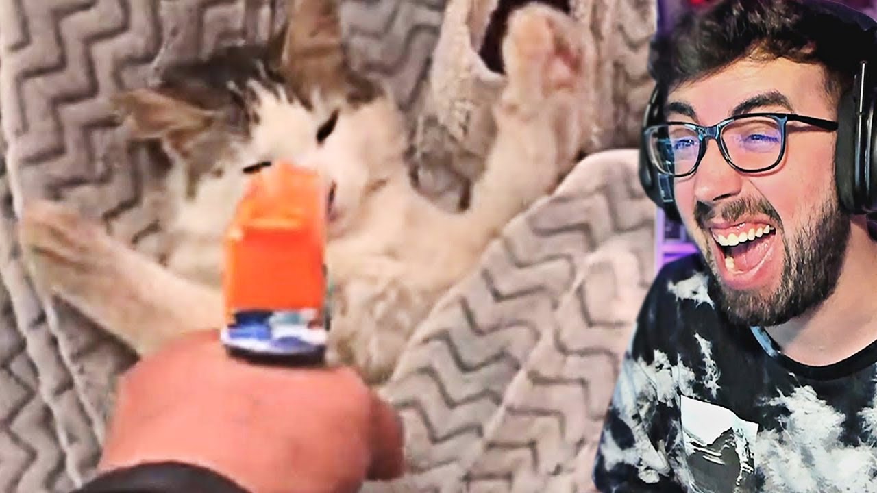 Si te RIES PIERDES nivel DIOS VIDEOS DIVERTIDOS y GRACIOSOS😂