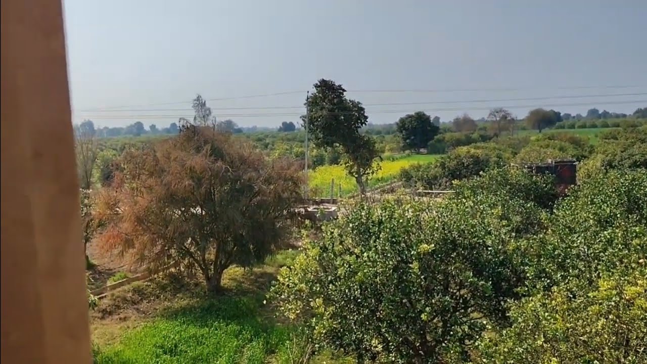 Asa mausam ho to Dil aa he jaata hai❤️❤️