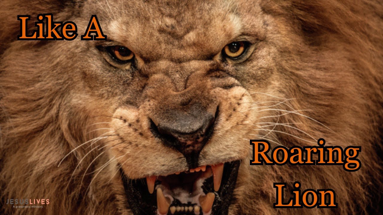 Roaring Lion | Pastor Phil | @JesusLives