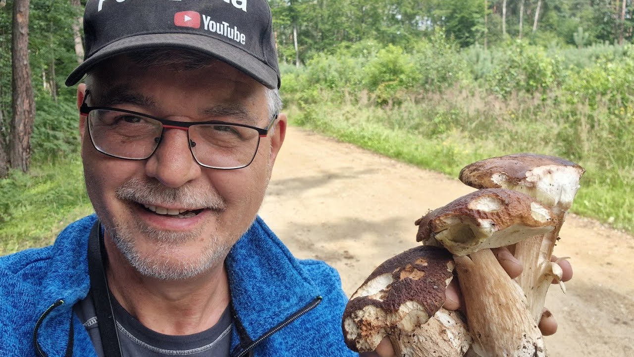 Powiem wam kiedy będzie następny wysyp BOROWIKA SZLACHETNEGO.