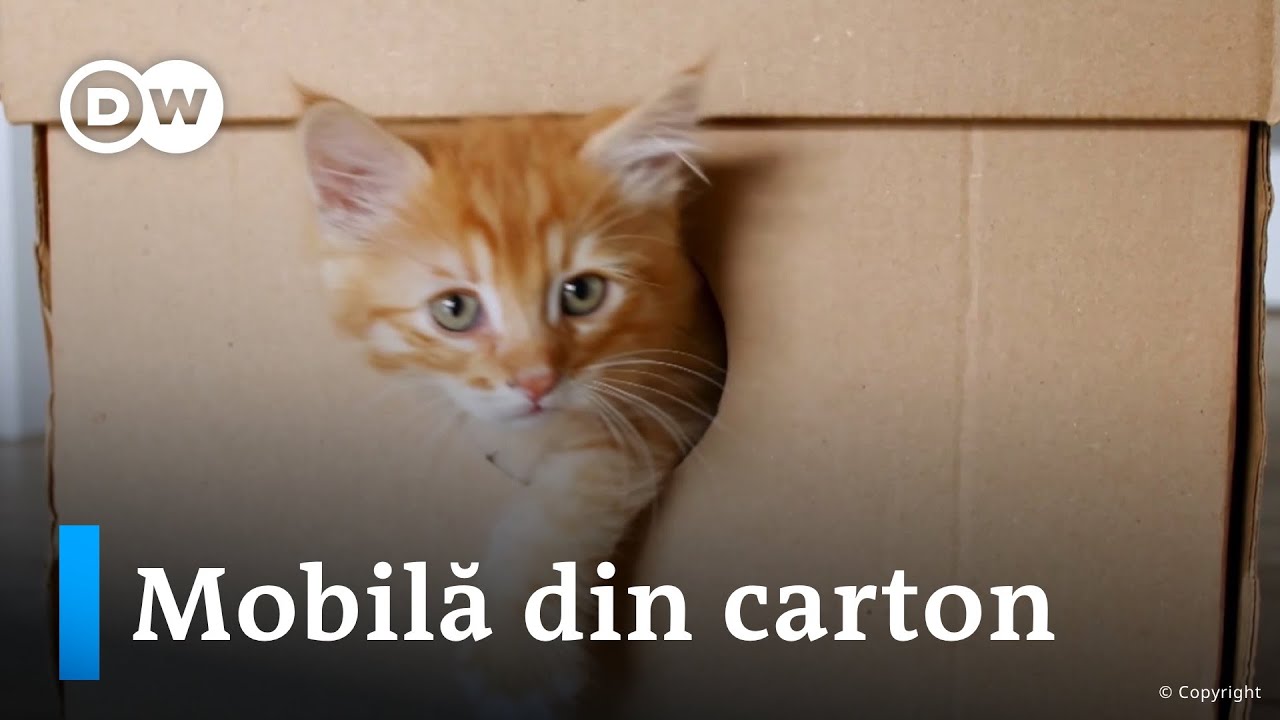 Green Minds - Mobilă din carton