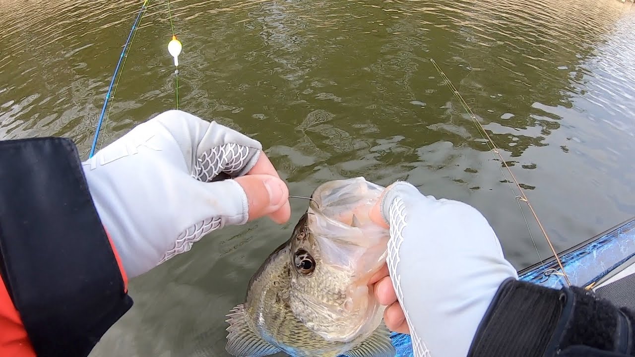 CRAPPIE FISHING With LIVE MINNOWS And A SLIP BOBBER!!//EASY WAY To CATCH CRAPPIE!