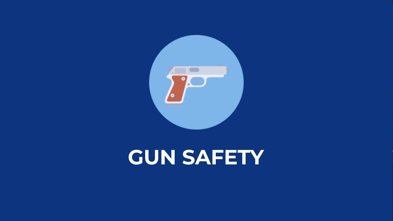 Gun Safety - Andrew Yang Policies