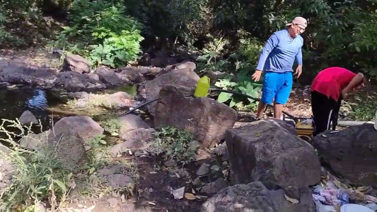 Hoy toca regar la Milpa