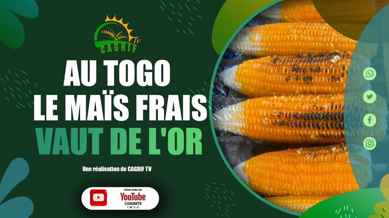 Au Togo, le maïs frais vaut de l'or