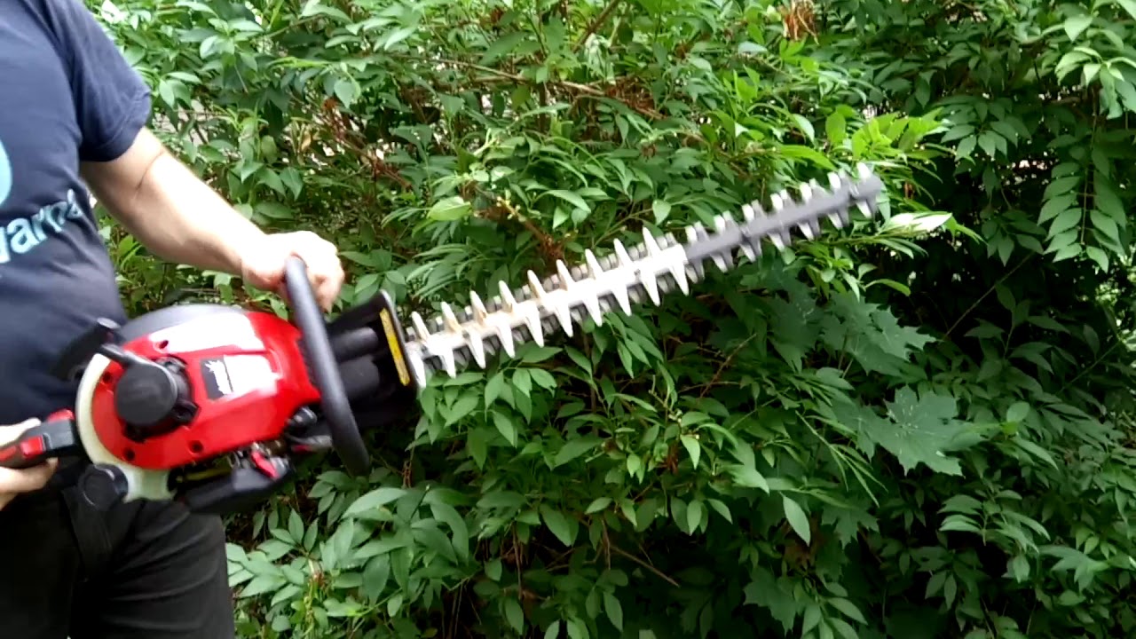 Petrol Hedge Trimmer MTD HT 55 B Cutting the shrub!