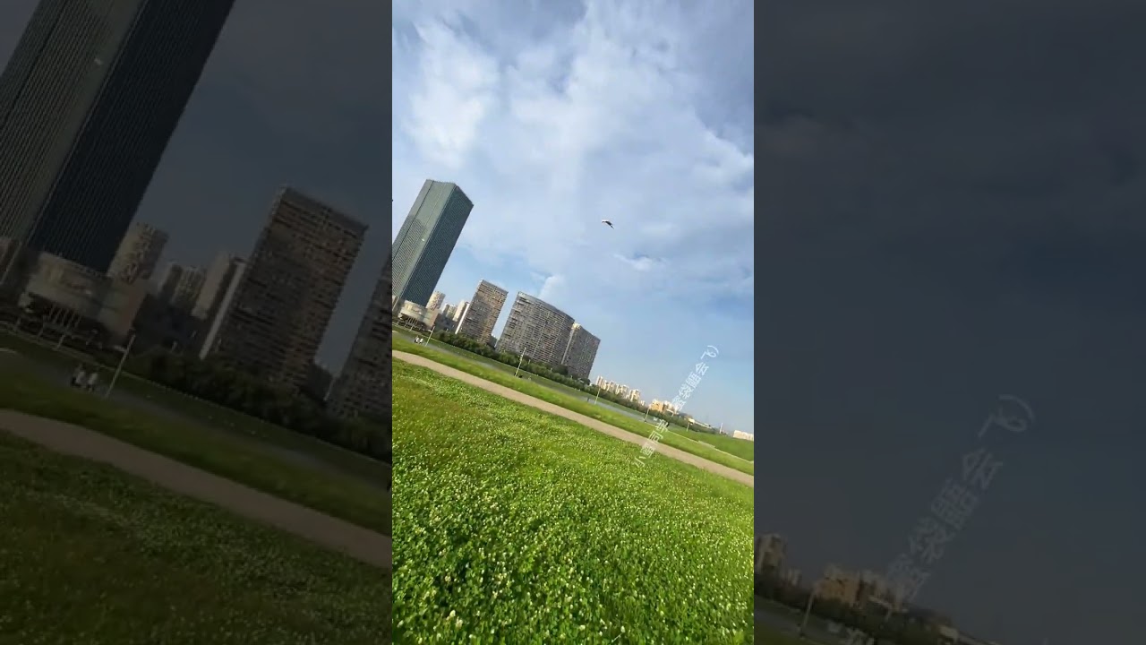 Another Day, Another Sugar Glider Outdoor Training Session! 🌞 