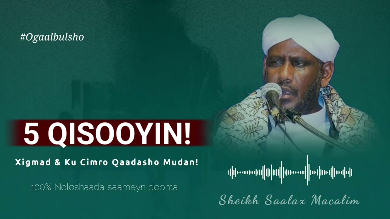 TOP 5+ QISOOYIN! Saameyn Leh Xigmad Iyo Ku Cimro Qaadasho Mudan || Sh. Saalax Macalin @OGAALBULSHO