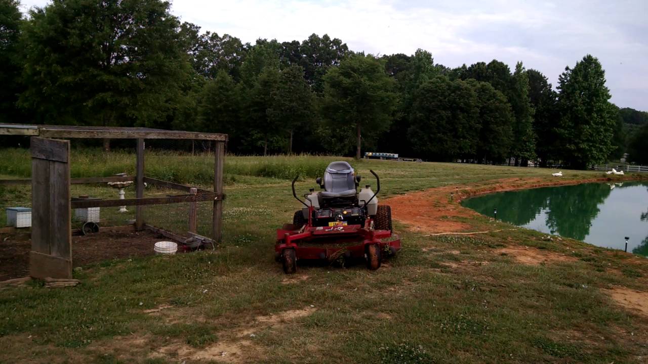 Barnyardbees Honey Bee Sale