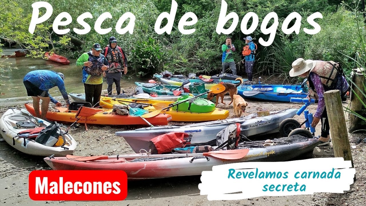 Pesca de bogas(en malecones/carnada secreta)