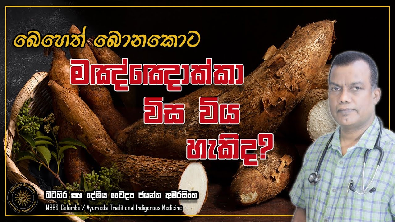 බෙහෙත් බොනකොට, මඤ්ඤොක්කා ආහාරයට ගැනීම අගුණද? විස විය හැකිද? | Everything About Manioc #cassava