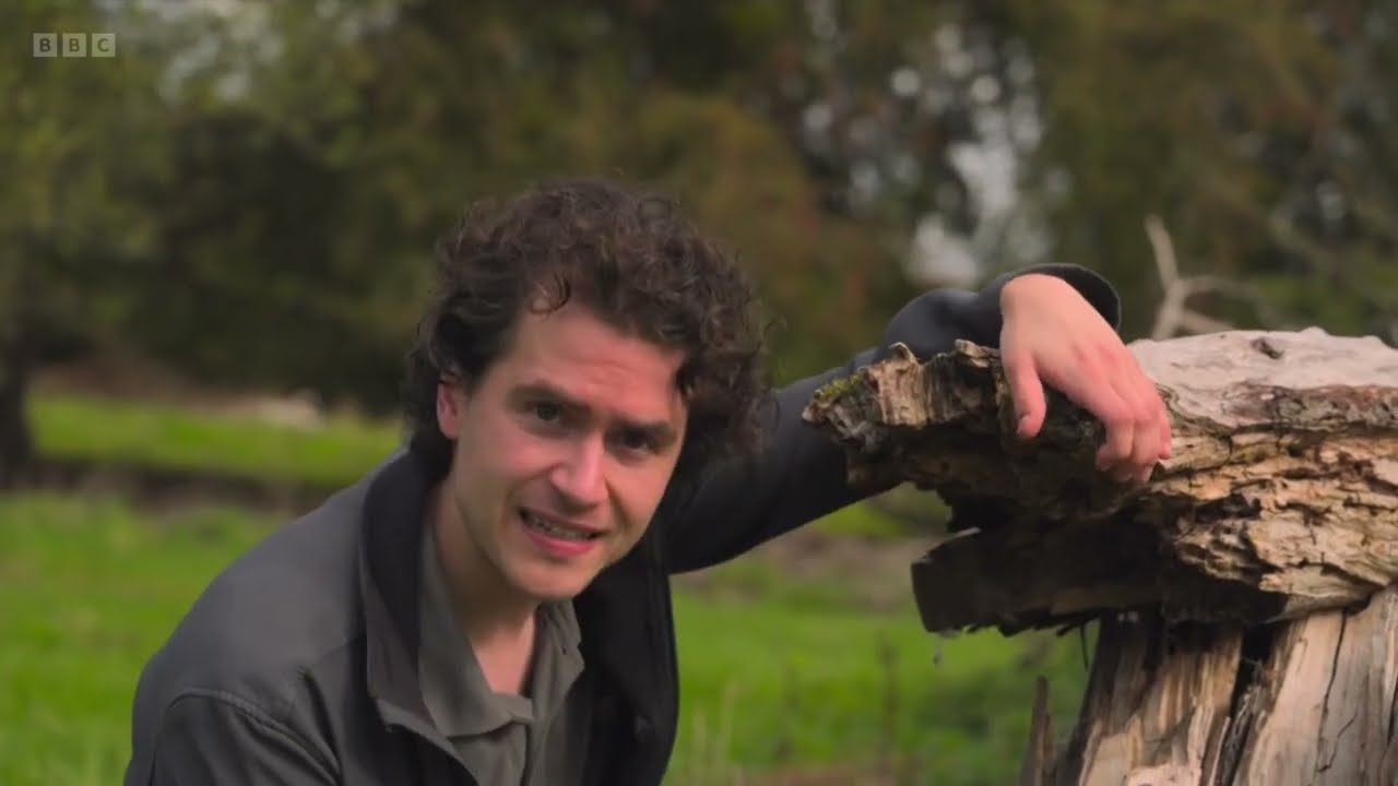 Countryfile Speaks for Orchards — Will Councils Listen?