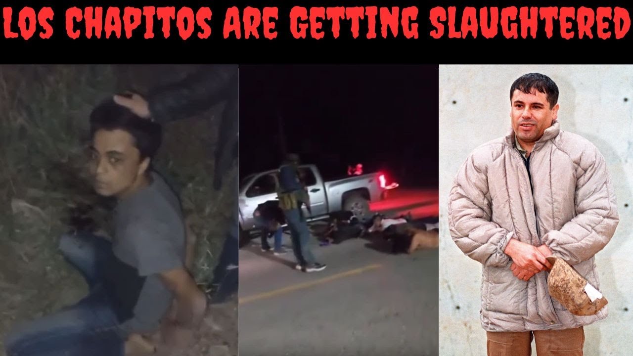 How El Chapo Destroyed The Sinaloa Cartel | Los Chapito Members Butchered In Grim New Video