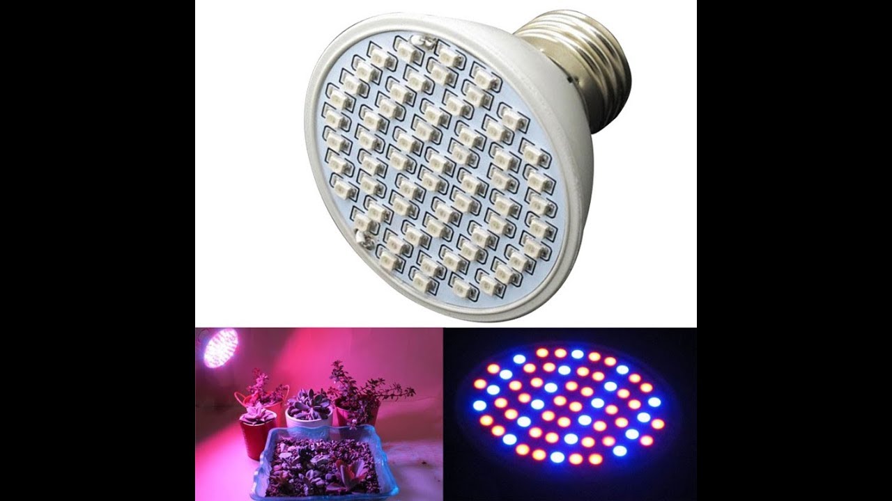 Led Full Spectrum 120v crecimiento florescencia plantas