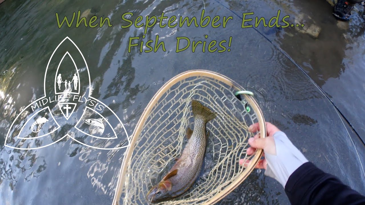Fly Fishing Alberta | When September Ends Fish Dries | Fly Fishing