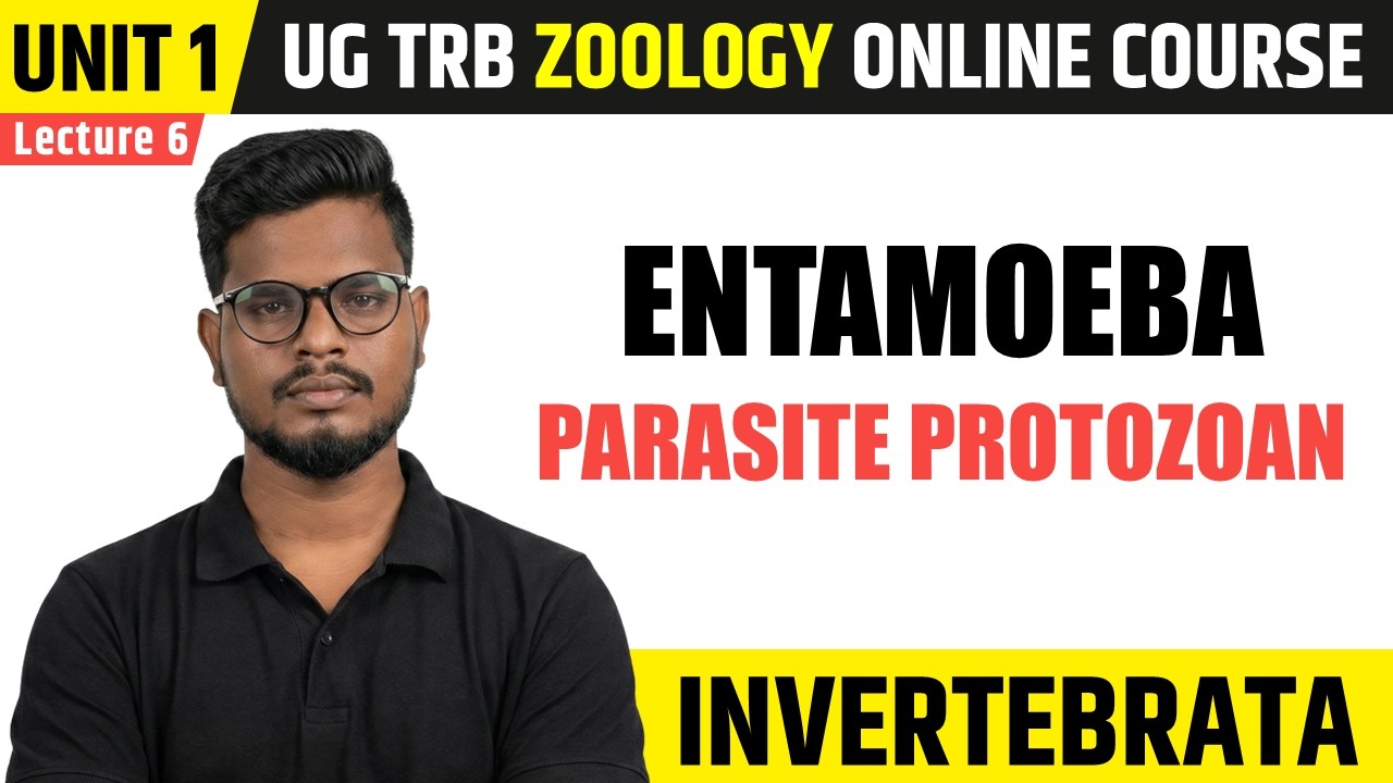 Entamoeba (Parasite Protozoan) | Invertebrata in Tamil (6) | UG TRB Zoology Course