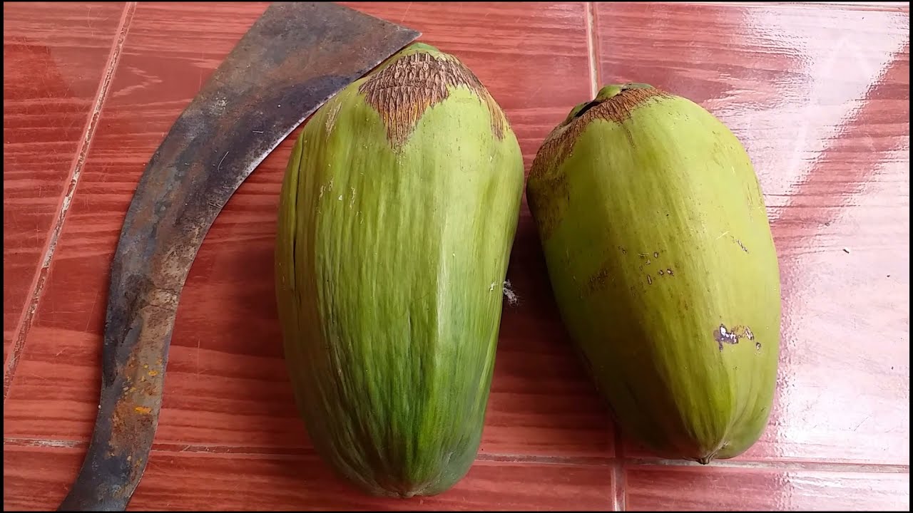 มะพร้าวหลอด