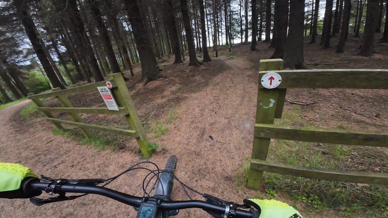 Auchengean Trail | Calendar Estate MTB Trails