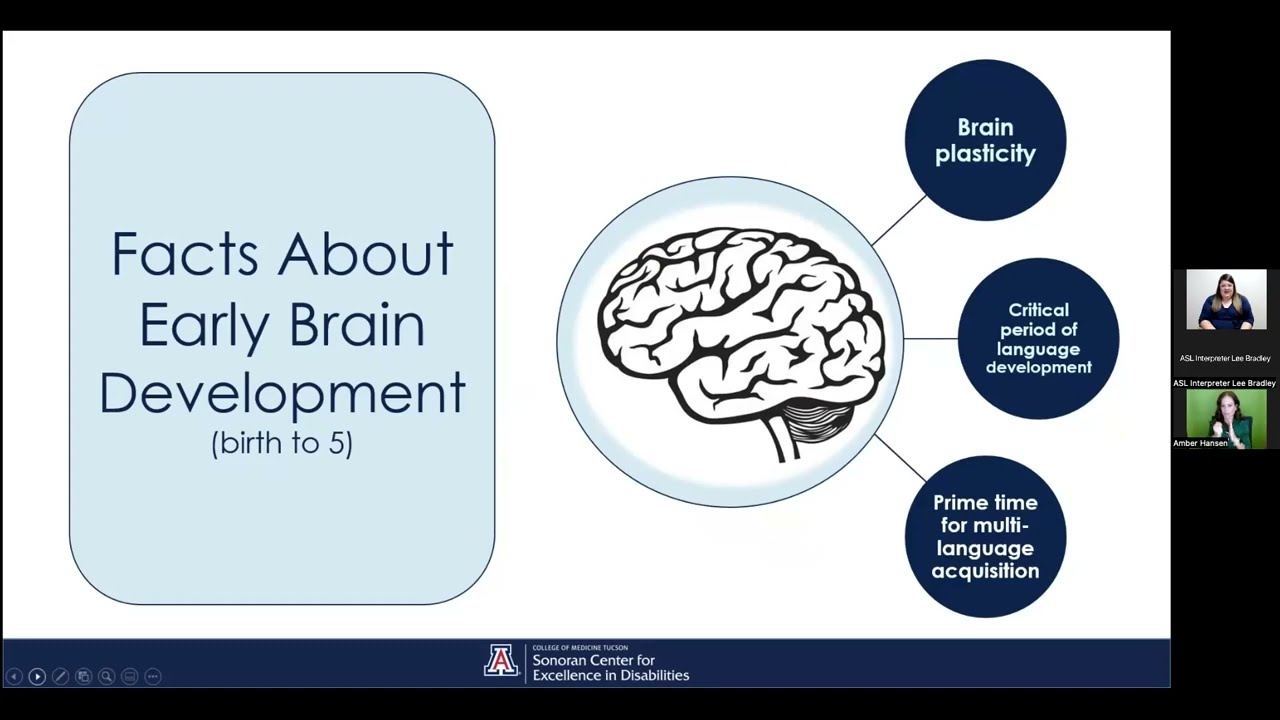 Language Development in Deaf Children