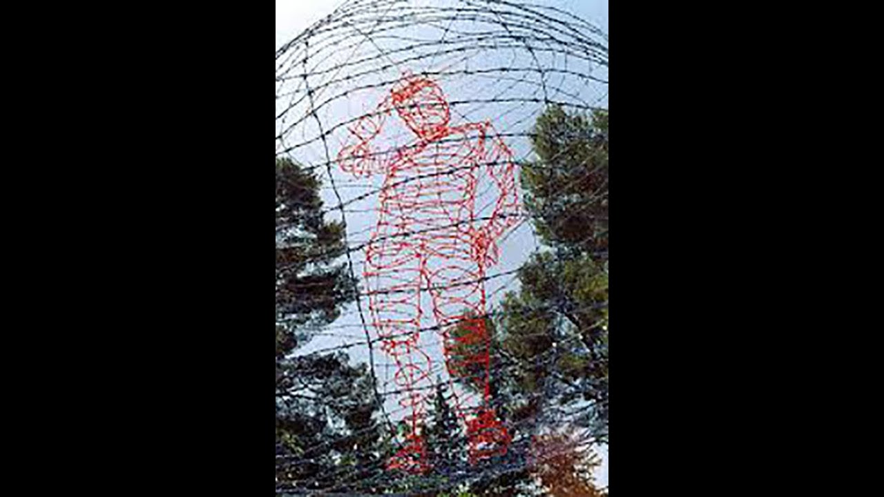 Material&auml;sthetik des Stacheldrahts