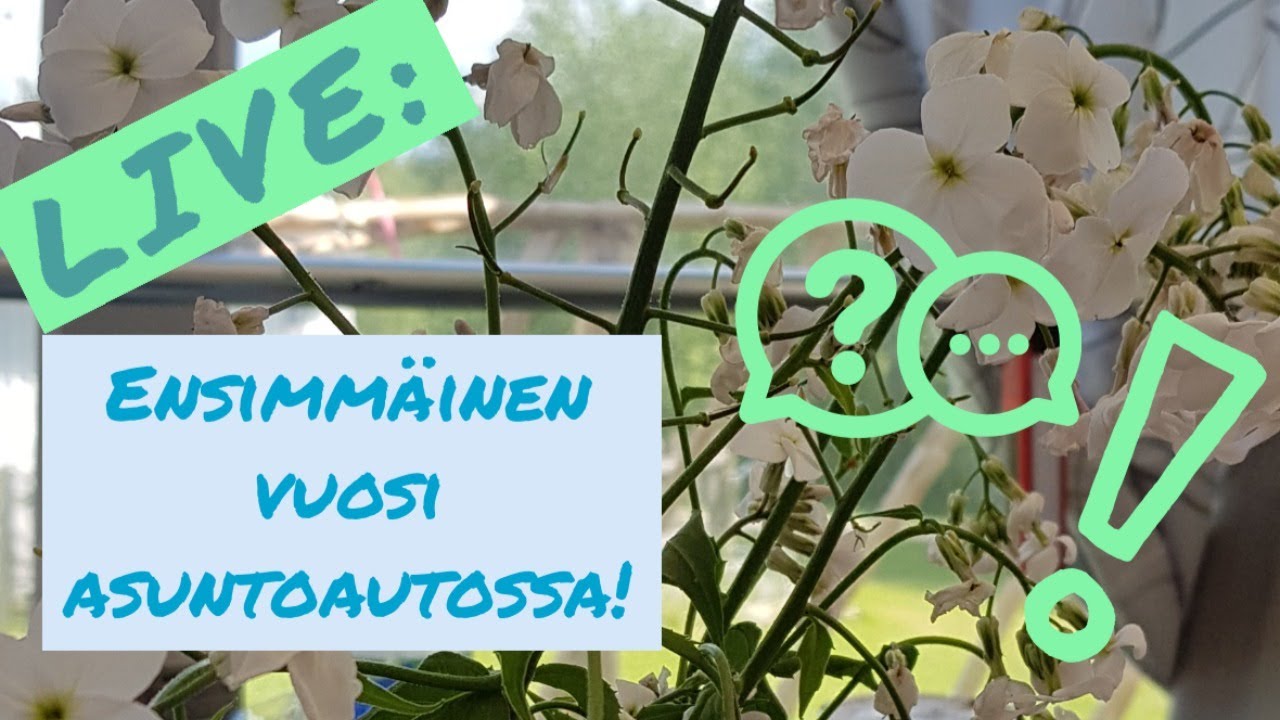 LIVE: 1 vuosi asuttu asuntoautossa | Mikä on opittu? Mikä on yllättänyt? Jatketaanko vielä?