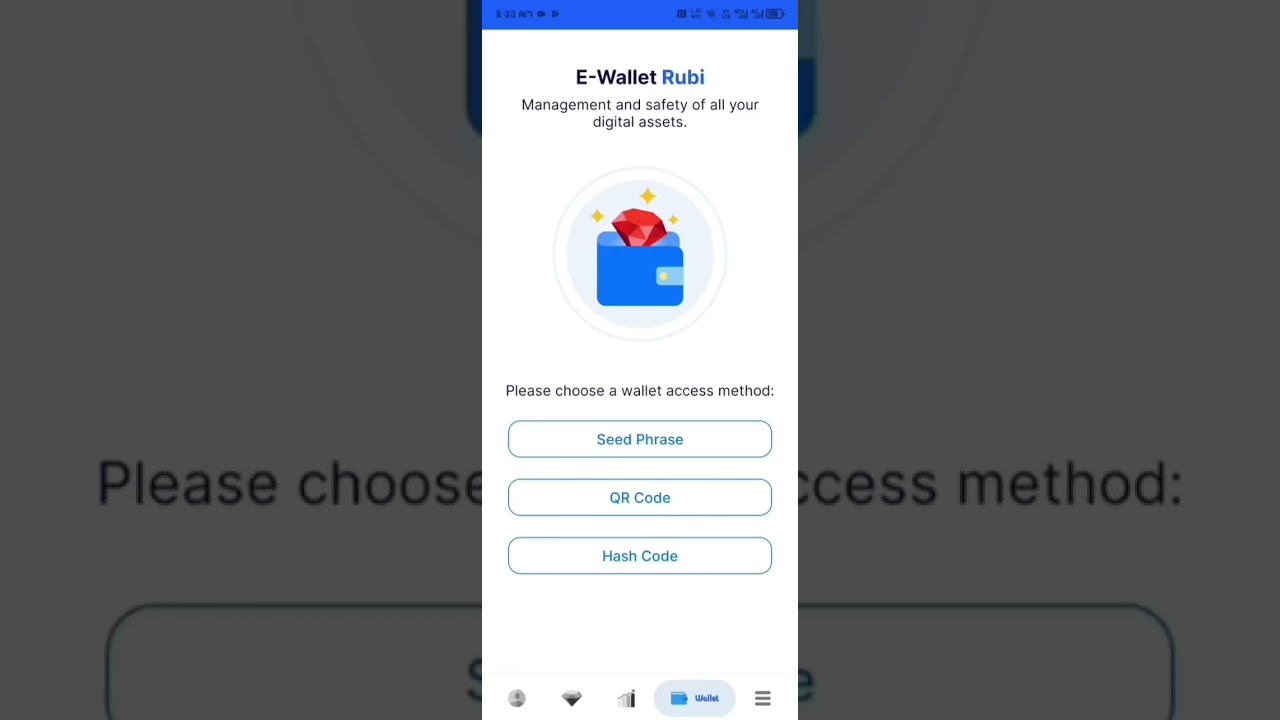 How to set up your in-app wallet and pin on Rubi app