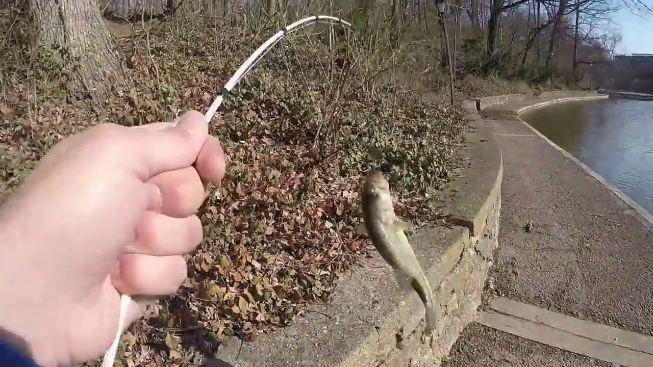 Bassin in Burnet Woods Park - Clifton, Ohio