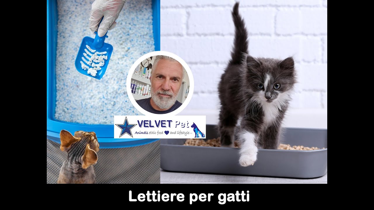VELVET Lab - Lettiere per gatti