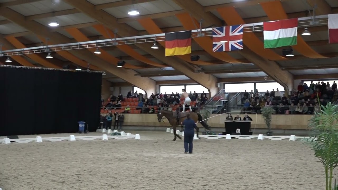 Kylynn Ghafouri freestyle