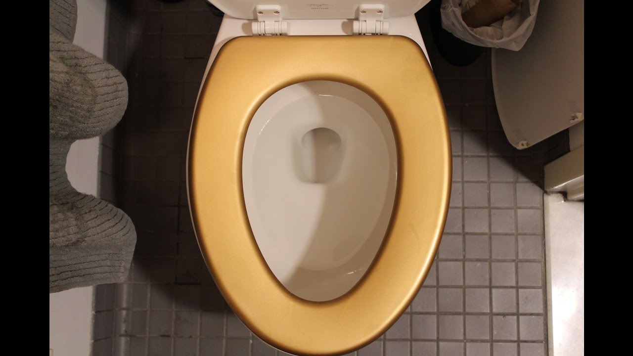 The Golden Toilet Seat