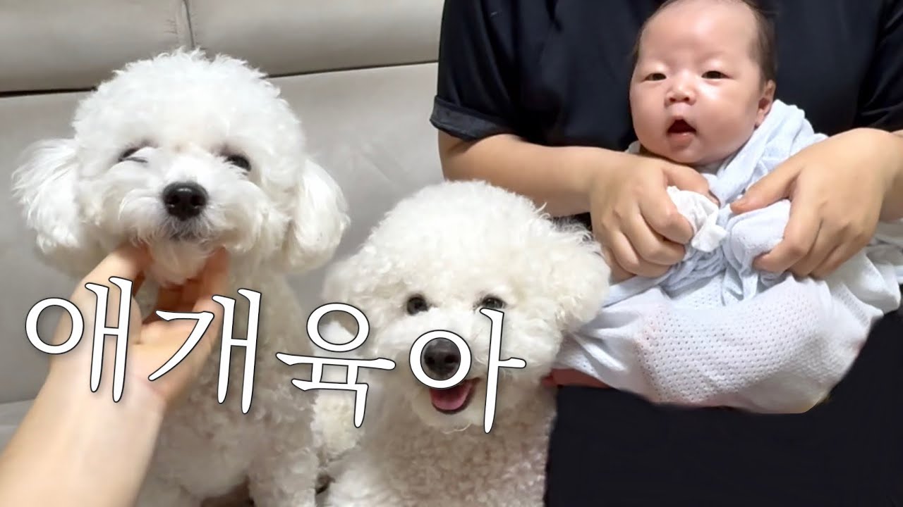 조카가 생김..! | 언니랑 함께 애개육아하는 이모 브이로그 👼🐶🪽