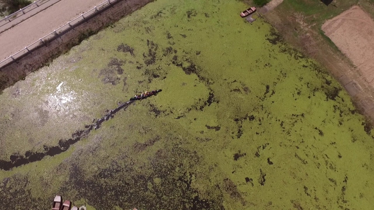 DRÓNMUNKA bemutatja: Lakitelek-Tőserdő Holt-Tisza