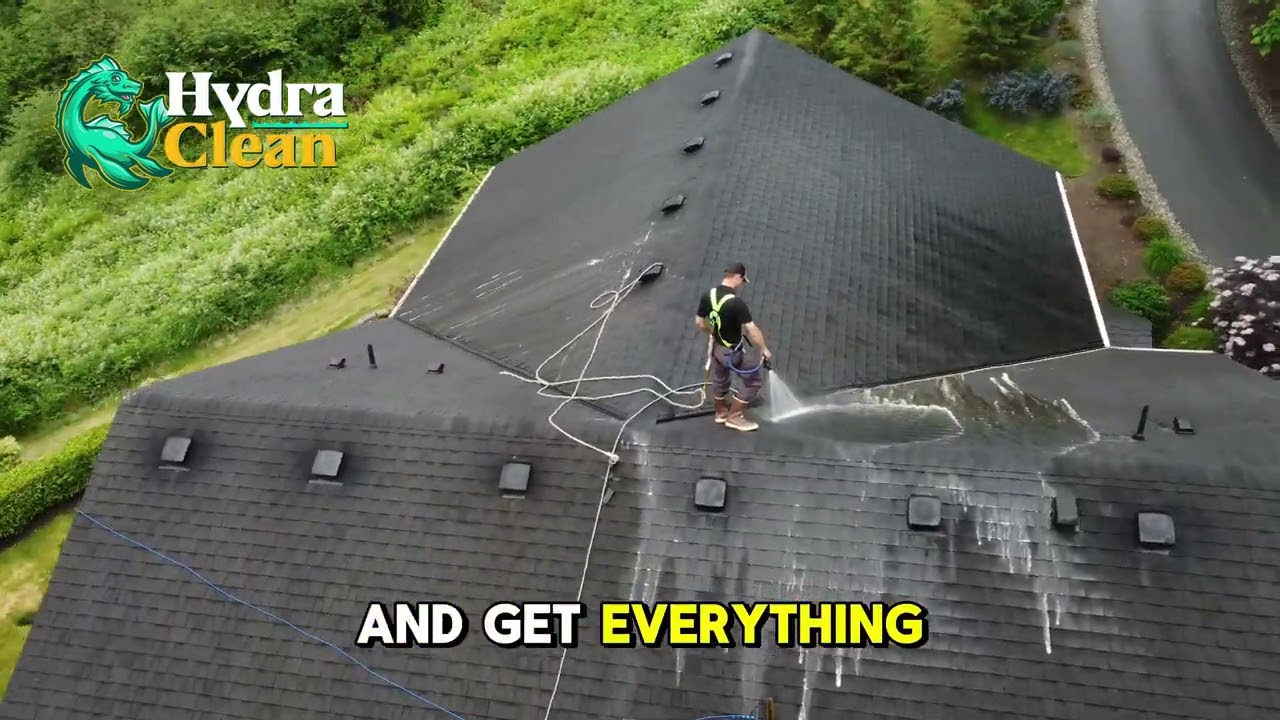 Bellevue Roof Moss Removal &mdash; Clean Your Roof Before the Rain | CallHydraClean.com