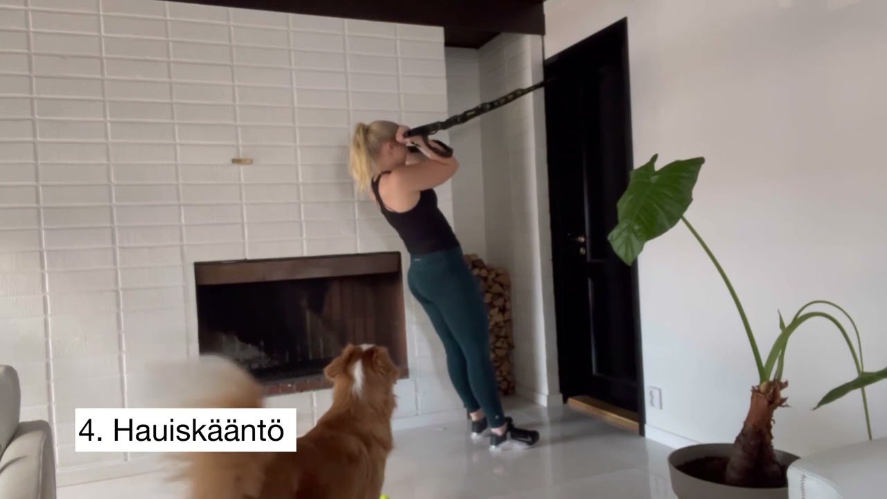 Yläkroppatreeni Wrange Suspension Trainerilla! ✔