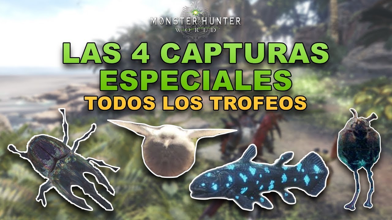 MHW - Ubicación de las 4 capturas especiales